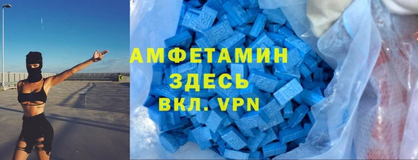 стаф Алексин
