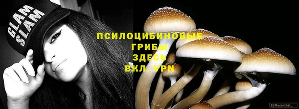 дурь Алексеевка
