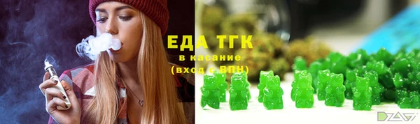 тгк Алзамай