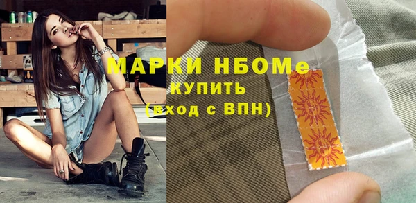 стаф Алексин