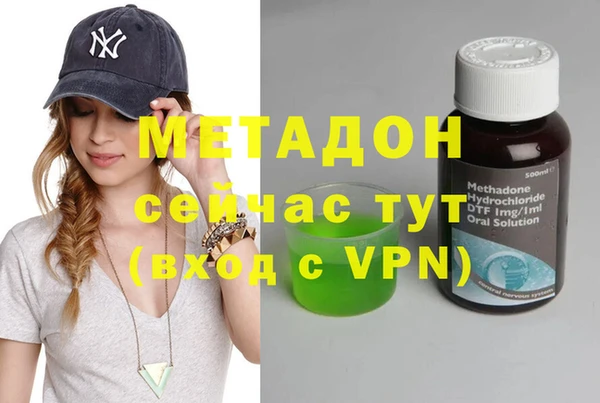 стаф Алексин
